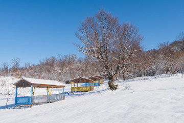 Naklejka premium Gazebo for relaxing in the winter garden