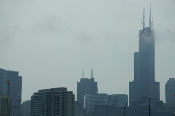 Landscaping sea city aviation 