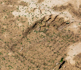 Human footprint on clay soil as a background