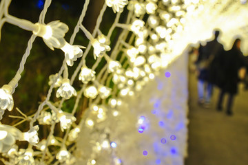 Light Illumination Tunnel show in Nabana no sato, Mie, Japan.