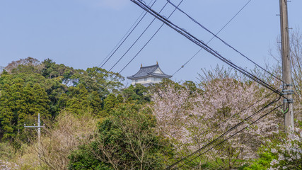 春の大多喜城の風景