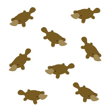 6 Best かものはし Images Stock Photos Vectors Adobe Stock