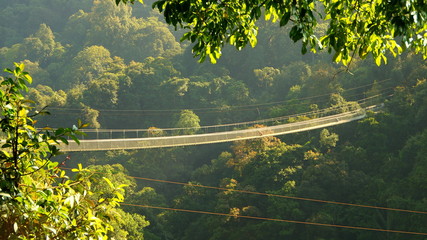 lange Hängebrücke spannt sich über den Regenwald im Morgenlicht bei Sukabumi in Indonesien