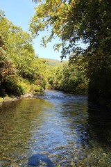 View of the Stepanova River near the place of its confluence with the Bolshaya Malkinskaya River on the Kamchatka Peninsula, Russia.
