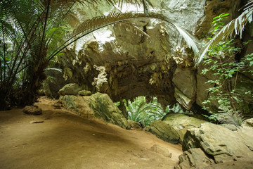 The famous travel destinations Ancient forest Hup Pa Tat.