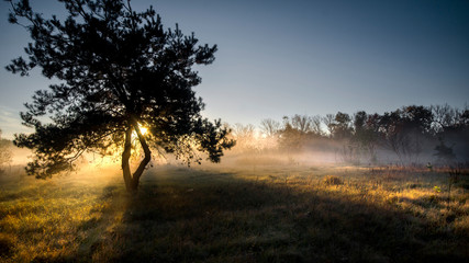 W promieniach wschodzącego śąłońca © Grzegorz Komendarek