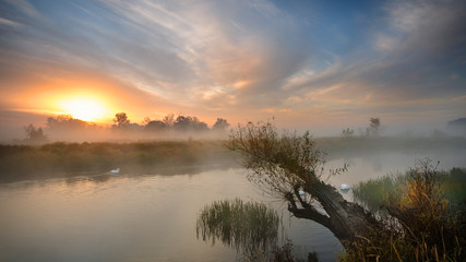 Mglisty poranek © Grzegorz Komendarek