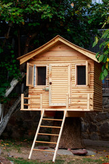 Fototapeta na wymiar small wooden house