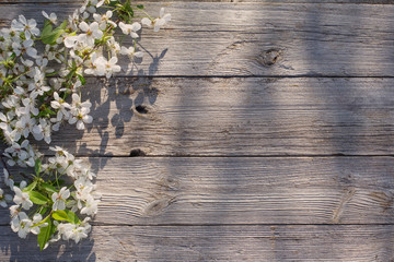 spring flowers on old wooden background