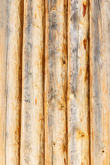 wooden background of logs
