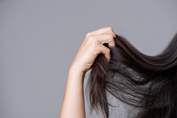 Obraz premium Healthy concept. Woman hand holding damaged long hair.