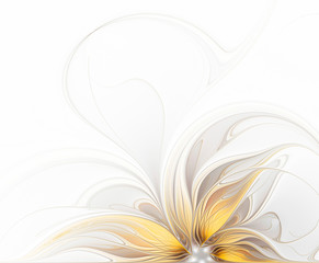 Fototapeta na wymiar White background with abstract elegant flower