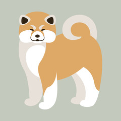 akita dog, vector illustration,flat style