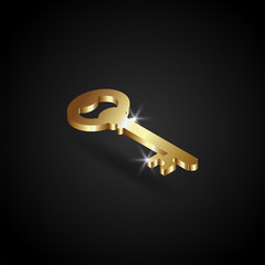 luxury golden key vector illustration