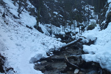 Canyon Jánošíkove diery in Malá Fatra mountains, Slovakia
