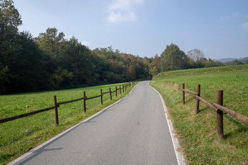 Landscape in the Park of Curone at fall