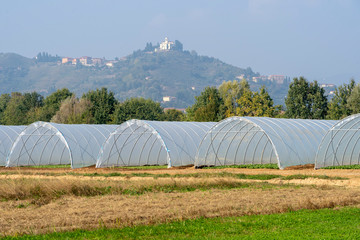Landscape in the Park of Curone at fall