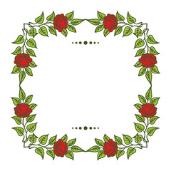 Vector illustration decoration red flower frames hand drawn