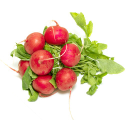 Radish red bunch greens on a white background.