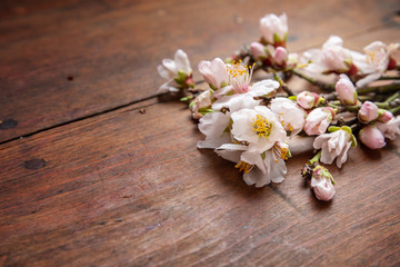 Fototapeta na wymiar Almond blossoms bouquet on wooden background, copy space