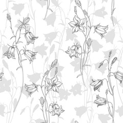 Fototapeta premium Seamless vector pattern with with flowers campanula. Nature background.