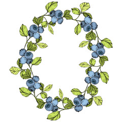 Vector Blueberry blue and green engraved ink art. Berries and green leaves. Frame border ornament square.