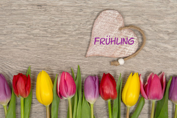 Tulpen und Herz: Frühling