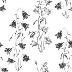 Fototapeta premium Seamless vector pattern with flowers bluebells. Black and white nature background. Silhouettes and contours.