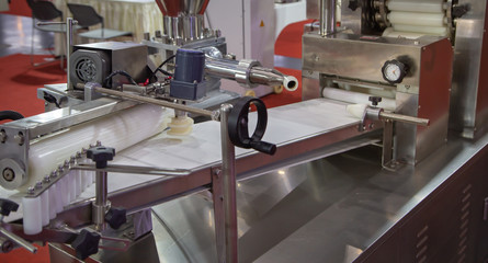 Automatic encrusting and moulding machine for steamed bun. Food industry