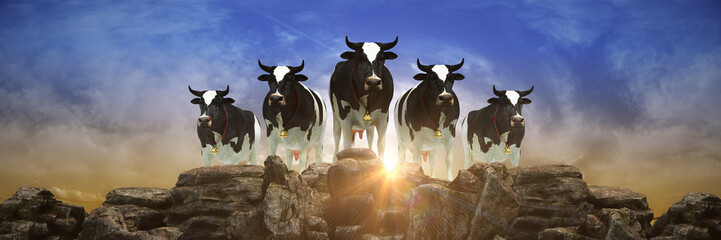 Cow at sunset. 3d rendering