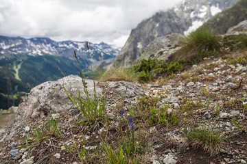 Obraz premium View to the Mont Blanc in cloudy time.