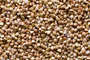 raw green buckwheat background close-up
