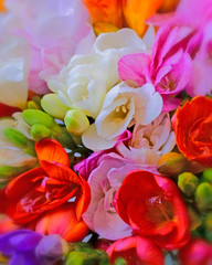 Fototapeta na wymiar colorful freesia flowers top view, natural background