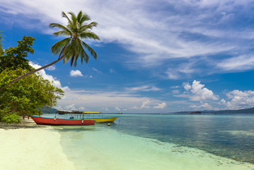 Two color local boats on island coast, tropical beach with coconut palm, white sand and turquoise water