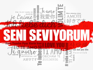 Seni seviyorum (I Love You in Turkish) in different languages of the world, word cloud background