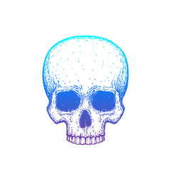 Human skull with gradient, vector illustration