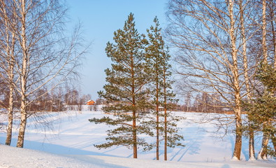 Frost and sun -  wonderful day