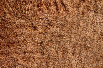 brown wool, sheep's wool texture