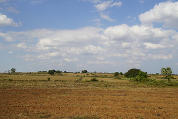 field of Myanmar