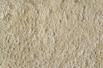 wool texture, sheep wool, llama wool