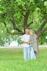 Portrait of cute beautiful senior couple in the park