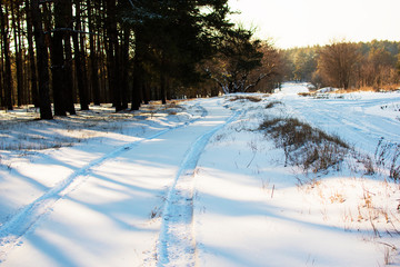 Wheel tracks in the snow