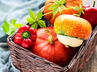 Autumn arrangement of pumpkins - basket with vegetables