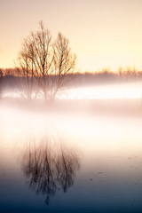 Old river arm landscape in Hamme