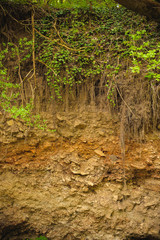 Form of soil layers,its colour and textures,texture layers of earth