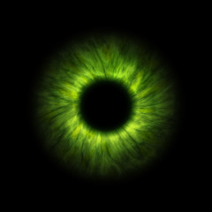 dark green human iris