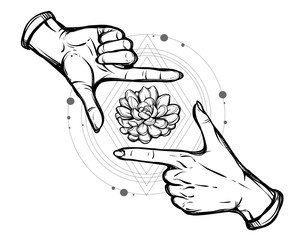 Vector illustration. gesture, succulent, sacred geometry. Handmade, prints on T-shirts, tattoos, background white