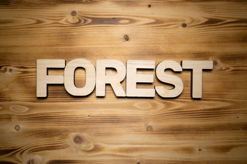 FOREST word made with building blocks on wooden board.