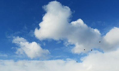 Beautiful clouds background in the sky, birds flying on fluffy clouds background