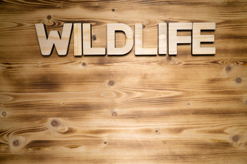 WILDLIFE word made of wooden block letters on wooden board, top view.